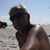 Bill Gaull's profile image
