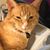 Missy Byrd Miller's profile image