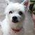 Dorothy Winn's profile image