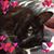 Monica Starr-Arthur's profile image