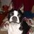 Donna L George's profile image