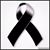 Claudia Beatriz Beltran Elias's profile image