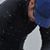 Seyyed Koohnavard's profile image