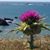 Jill Elayne's profile image