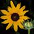 Melody Feil's profile image
