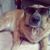 Matt Everts's profile image