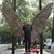 Jeff Levy's profile image
