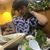 Yusef Eter's profile image