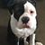 Barb Lucarelli's profile image