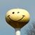 John Melman McWilliams's profile image