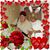 Steve Andrews's profile image
