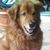 Cindy Larkins's profile image