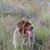 Kathy Randolph Stirner's profile image
