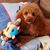 Twila Goodwin's profile image