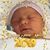 Thomas M. Molnar's profile image
