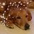 Bill Wienert's profile image