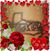 Kayla Sanchez's profile image