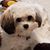 Kerry Ohlson Bosworth's profile image