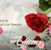 Luz Maria Herrera Valles's profile image