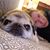 Paula Buist's profile image