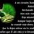 Honey Bazar's profile image