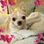 Beth Gamache's profile image