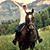 Rachel Chitwood's profile image