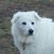 Tawnia Bresnahan's profile image