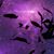 Robert Jay's profile image