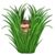 Tim Hansell's profile image