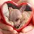 Rebecca Jenkins-Dutkevitch's profile image