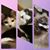 Lori Osborne Willert's profile image