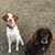 Teri Dingler's profile image