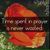 Peggi Pursley Franklin Arrington's profile image