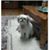 Hope Ontiveros-Cooper's profile image