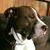 Andrea Conklin's profile image