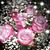 MrsAnita Singh's profile image