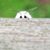 Kristin Cullivan's profile image