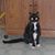 Katie Tomas's profile image