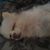 Bobbie Ann's profile image
