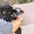 Sally Glenn's profile image