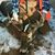 Markus Wildes's profile image