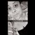 Evelyn Williams's profile image