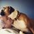 Laura Burnley Shanley's profile image