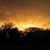 Robin Marie Graber's profile image