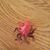 Kelly A. Potochick-Burtt's profile image