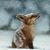 Gabriele Fifth Dimension's profile image