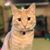 Kati Swint's profile image