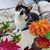 Jeanne Larrison's profile image