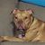 Angel Rivers Parker's profile image